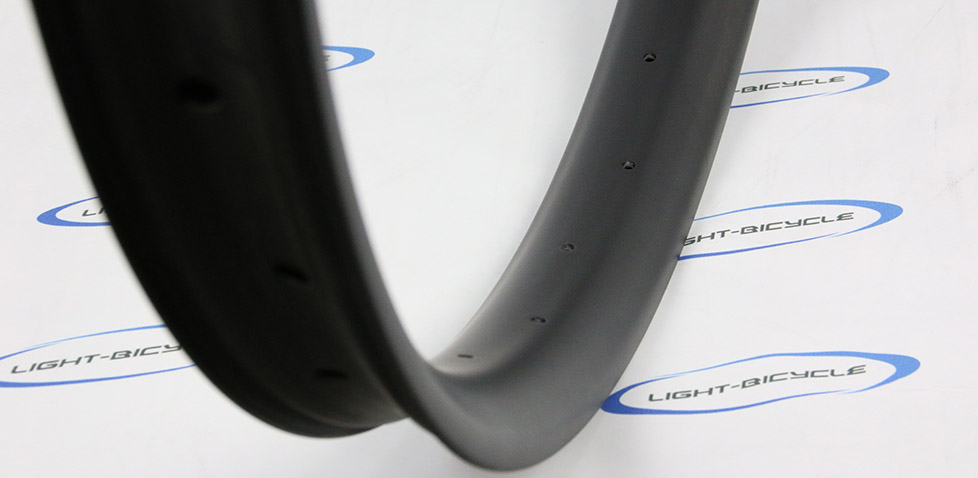 fatbike carbon rims