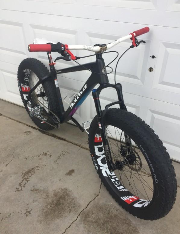 fat bike carbon