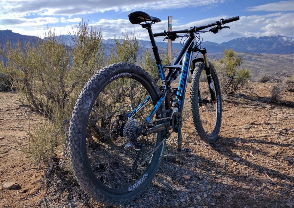 stumpjumper specialized 29