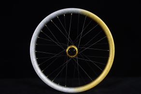 light-bicycle-am431-en431-crystal-painted-carbon-wheels-silver-gold